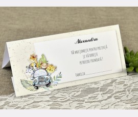 invitatii de botez