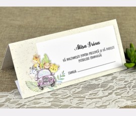 invitatii de botez